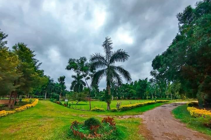 Open natural space